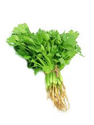 Coriander / Daun Ketumbar 100g