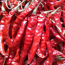 PT Dried Chili 200g