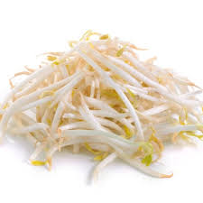 Fine Beansprouts / Taugeh 150g