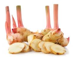 Lengkuas / Galangal / Blue Ginger 100g