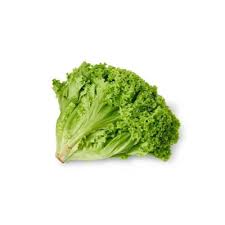 Genting Garden Green Coral Lettuce (Lollo Bionda) 1 unit