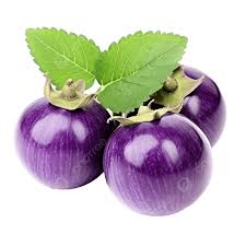 Terung Bulat / Round Eggplant 300g